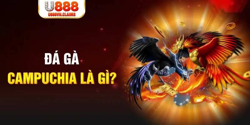 Đá gà Campuchia là gì? Đá gà Campuchia là gì?