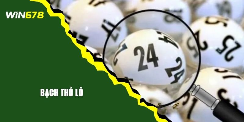 Bạch Thủ Lô Là Gì? Bí Kíp Soi Cầu Bất Bại Từ WIN678